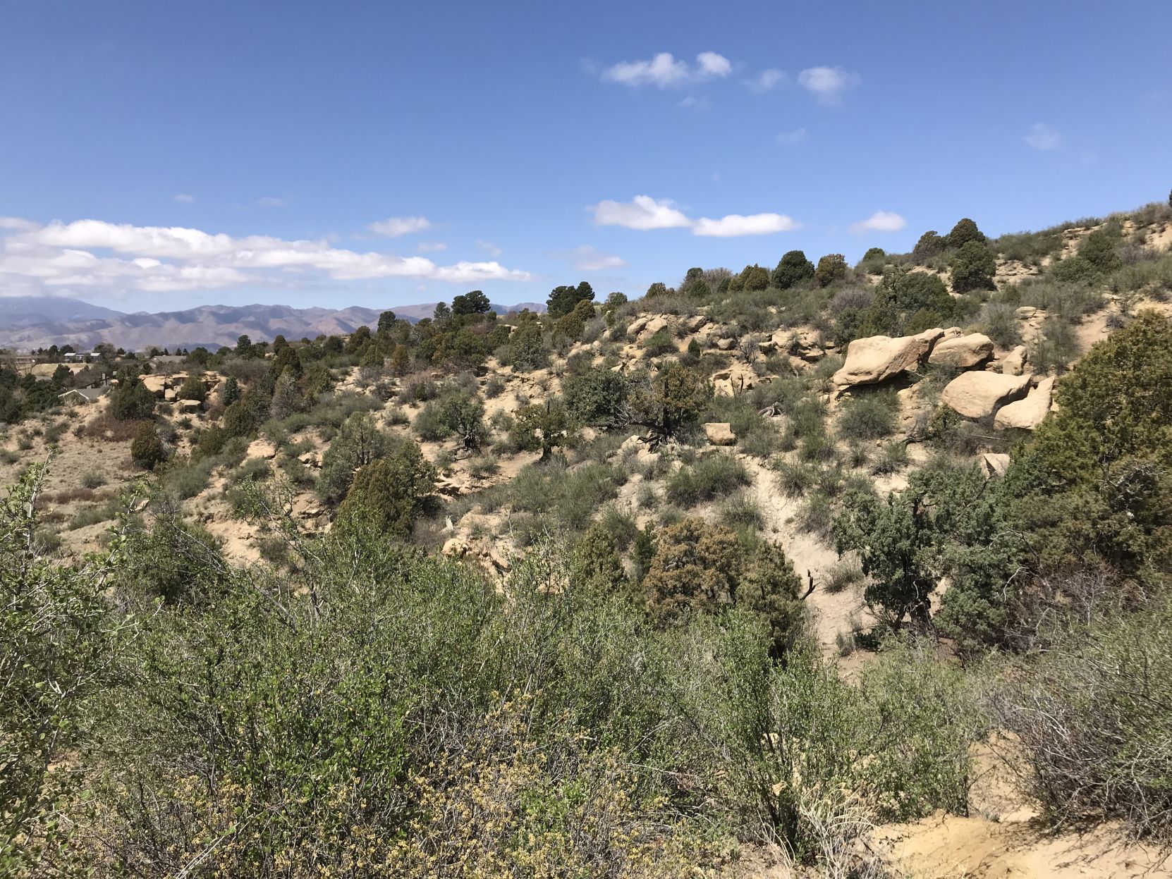 sunset mesa 3.JPG